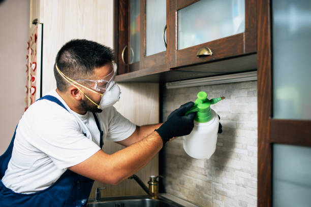 Best Pest Inspection Near Me  in Montgomery, GA
