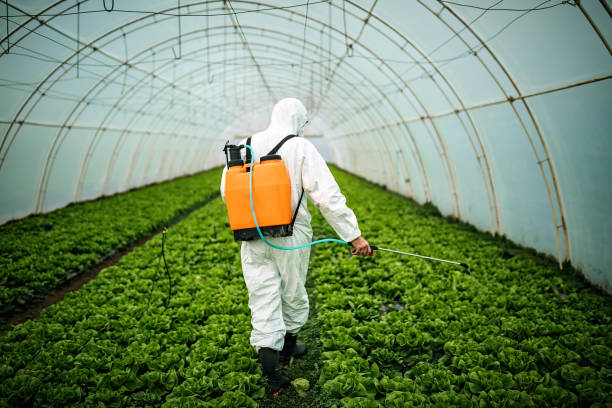 Best Pest Inspection Near Me  in Montgomery, GA