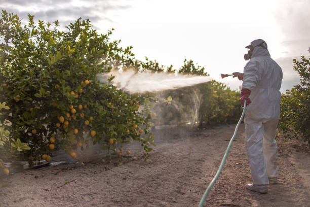 Best Pest Control Near Me  in Montgomery, GA