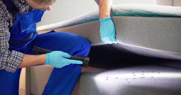 Best Pest Control Near Me  in Montgomery, GA