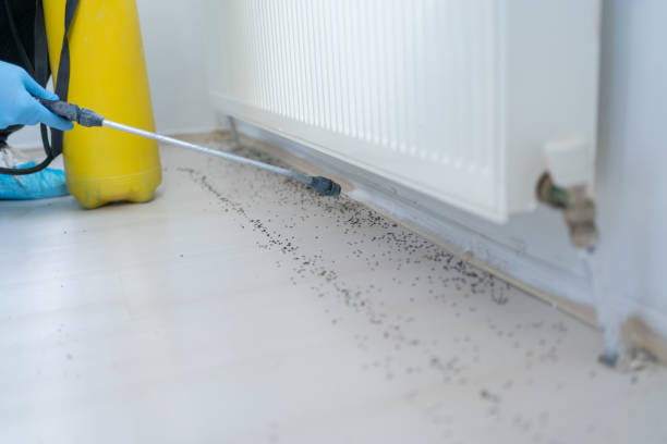 Best Local Pest Control Services  in Montgomery, GA